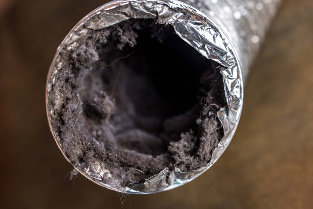 Best Affordable Air Duct Cleaning  in Berkeley, MO